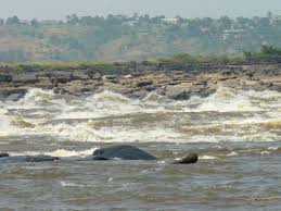 Brazzaville City Tour with a Guide 